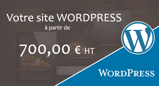 creation site wordpress landes à partir de 800 €
