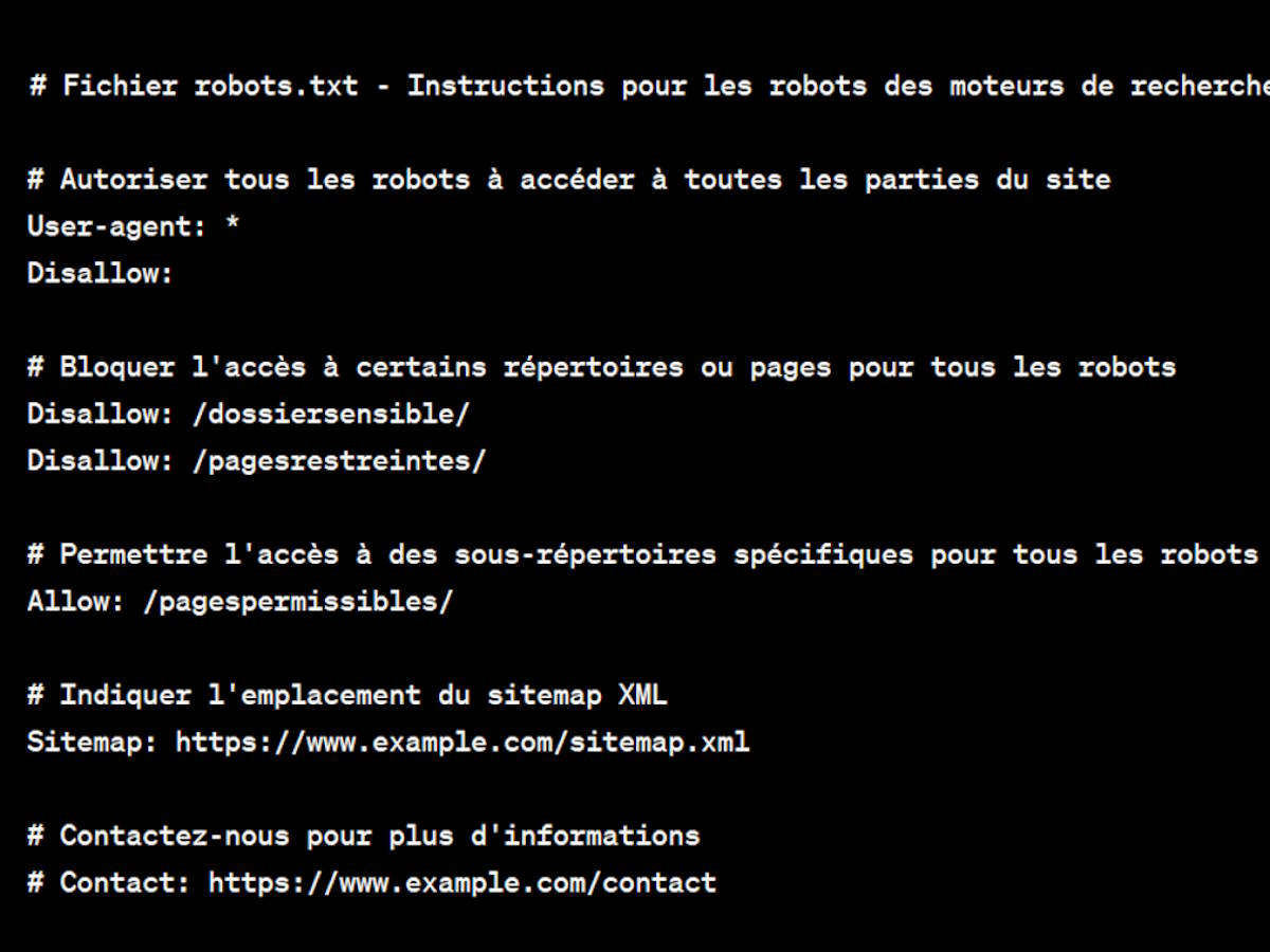 exemple fichier robots.txt référencement naturel
