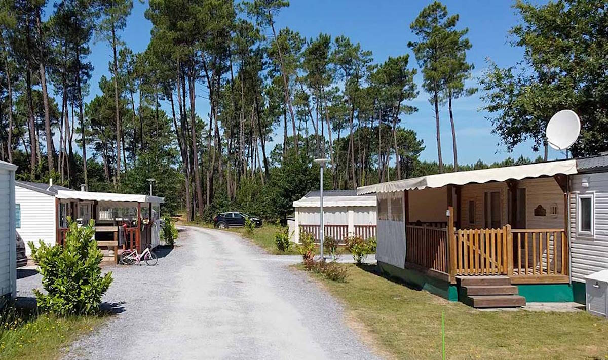 référencement marque blanche camping