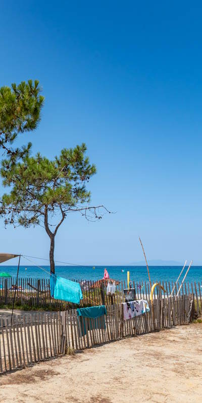 agence référencement camping corse